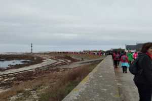IMG-20221016-WA0004
