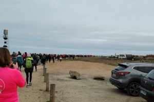 IMG-20221016-WA0006